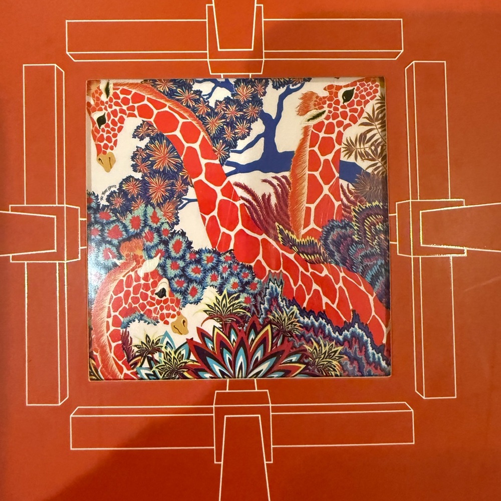Rare Hermes cashmere “The Three Graces” shawl